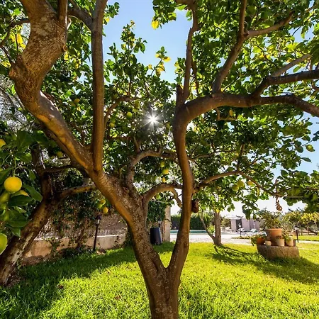 Villa Tabo
